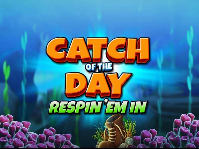 Catch of the Day Respin Em In Live Sic Bo - apostas brasil